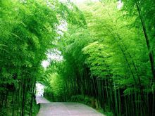 悠悠(汉语词语)