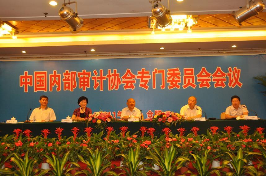 中国内部审计协会(全国性、专业性、非营利性社会组织)