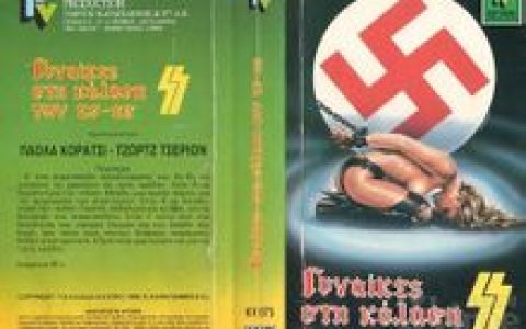 纳粹军妓血泪史(Sergio Garrone执导电影)