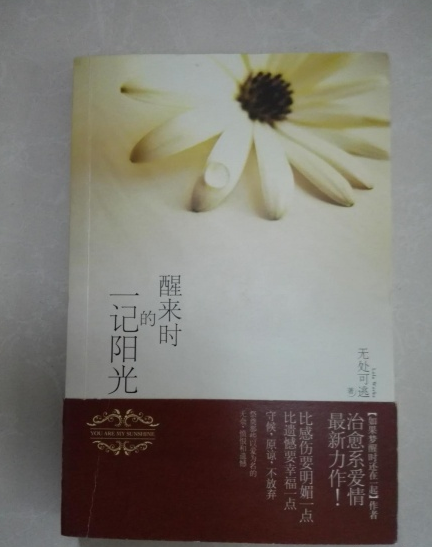 醒来时的一记阳光(作者无处可逃作品)