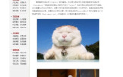 猫叔(一只出生于日本的超级明星猫)