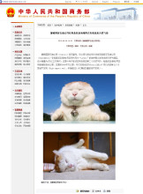 猫叔(一只出生于日本的超级明星猫)