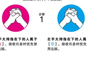 呜莎呜莎(二枚贝著性格测试书籍)