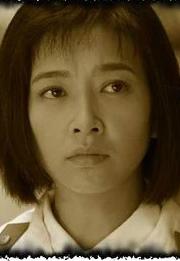 数风流人物(2007年毛卫宁执导电视剧)