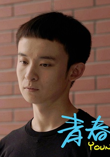 青春派(2013刘杰执导的电影)