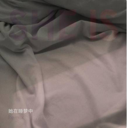 朴树(中国内地男歌手)