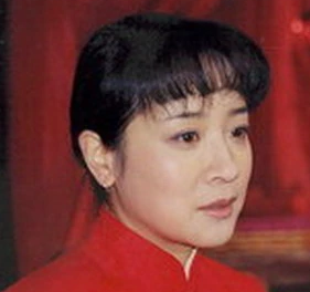 苦菜花(2005年王冀邢执导电视剧)