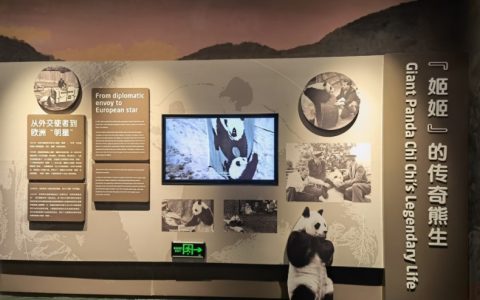 成都大熊猫博物馆(记录熊猫演化历史与古今分布的博物馆)