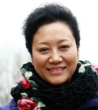 岳母的幸福生活(2015年王志军执导的电视剧)