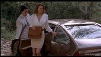 反斗神鹰(1991年美国上映的电影)
