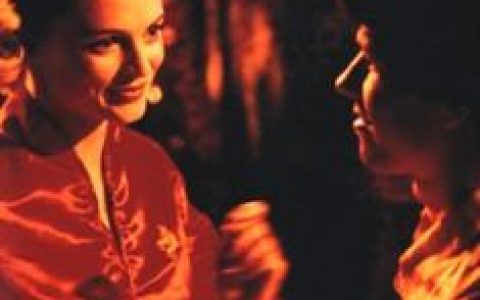 不羁夜(1996年保罗·托马斯·安德森执导影片)