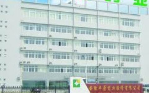 丰原药业(中国医药类公司)