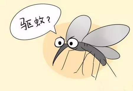 驱蚊(驱赶蚊子)