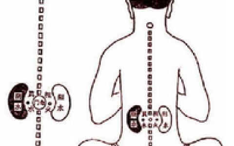 肾虚(中医疾病)