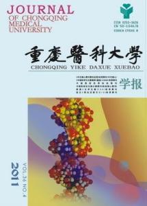 重庆医科大学(本科医药类重点大学)