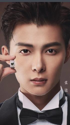 只为遇见你(2018年王子鸣执导的电视剧)
