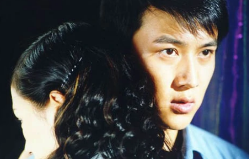 花样的年华(2002年吴天戈执导电视剧)