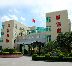 东莞控股(东莞发展控股股份有限公司)