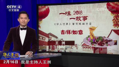 华人世界(CCTV-4专事服务全球华人的栏目)
