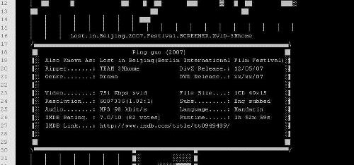 nfo(ASCII文字档案的副档名)