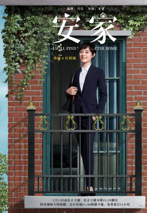 安家(2020年安建执导的电视剧)