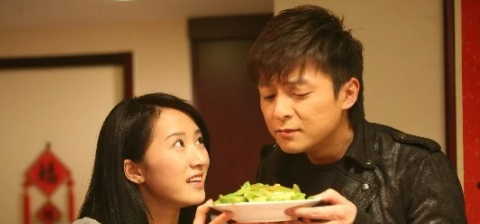经营婚姻(2012年陈燕民执导的电视剧)