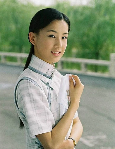 金色年华(2006年李大为执导的电视剧)