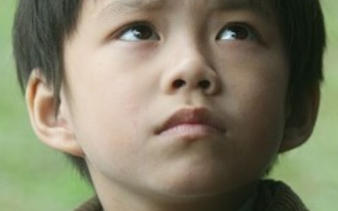 岁月神偷(2009年罗启锐执导电影)