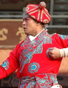 地雷战传奇之锄奸行动(2010年叶清醇执导的电视剧)