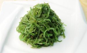 裙带菜(褐藻纲翅藻科裙带菜属植物)