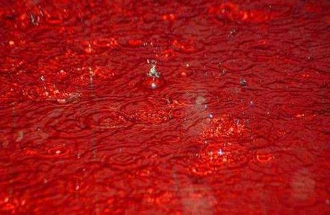 血雨(自然现象)