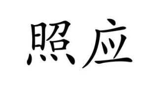 照应(汉语词语)