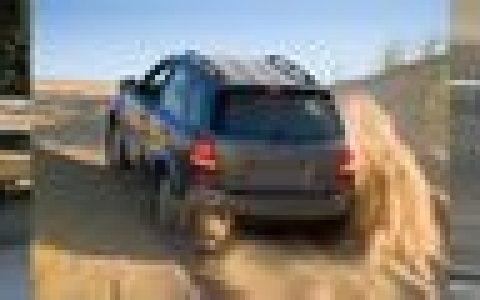 佳通(国际轮胎制造企业总部在上海)