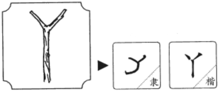 丫(汉语汉字)