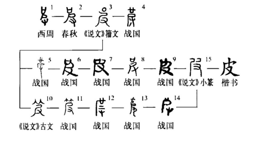 皮(汉语汉字)