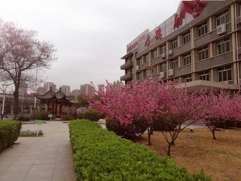 北京卫生学校(北京市中等医药卫生职业技术学校)