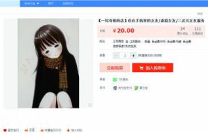 虚拟女友(虚拟业务)