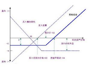 看跌期权(公民的权力)