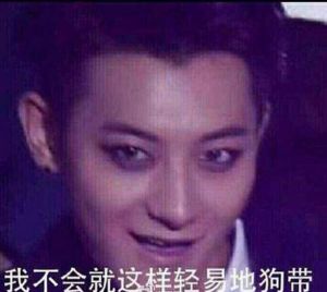 狗带(网络热词)