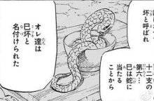 巳月(《火影忍者》角色)