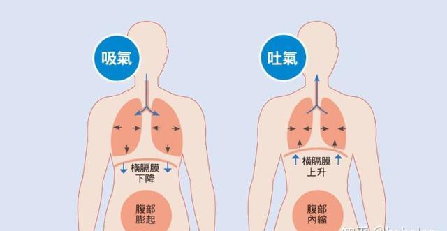 唱歌呼吸法(唱歌的技巧)