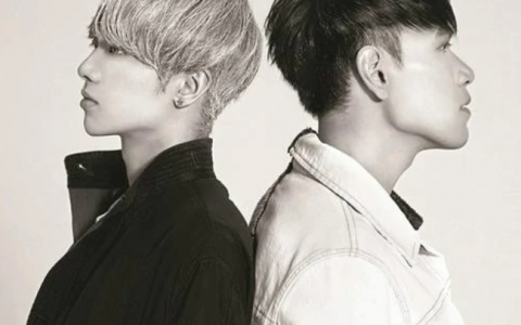 国王与乞丐(2015年华晨宇杨宗纬演唱歌曲)