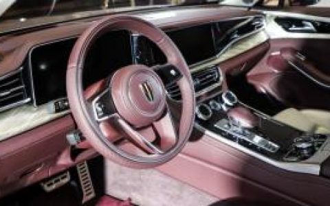 红旗h9(汽车品牌)