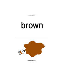brown(英语单词)