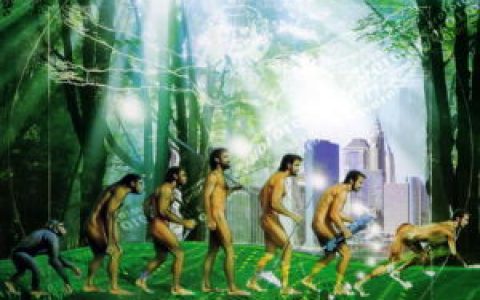 进化(生物学名词)