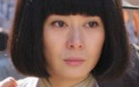 血雨母子情(2012年侯明杰执导的电视剧)