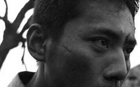 南京！南京！(2009年陆川执导的电影)