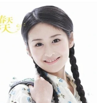 小菊的秋天(2012年杨冠玉执导的电视剧)