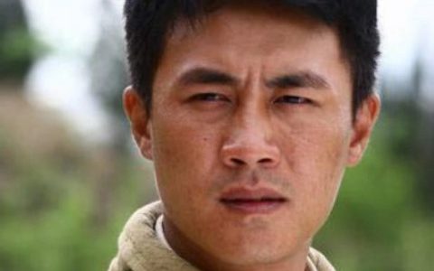 南下(2010年王文杰执导的电视剧)