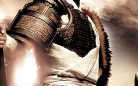 三国志之见龙卸甲(2008年李仁港执导电影)